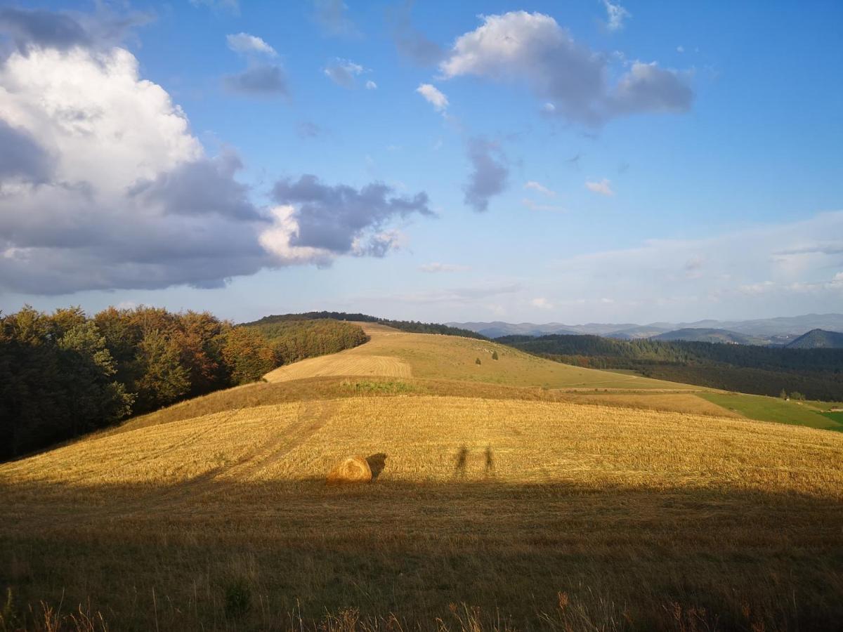 Zlatar Holidays Apartmani Nova Varoš المظهر الخارجي الصورة