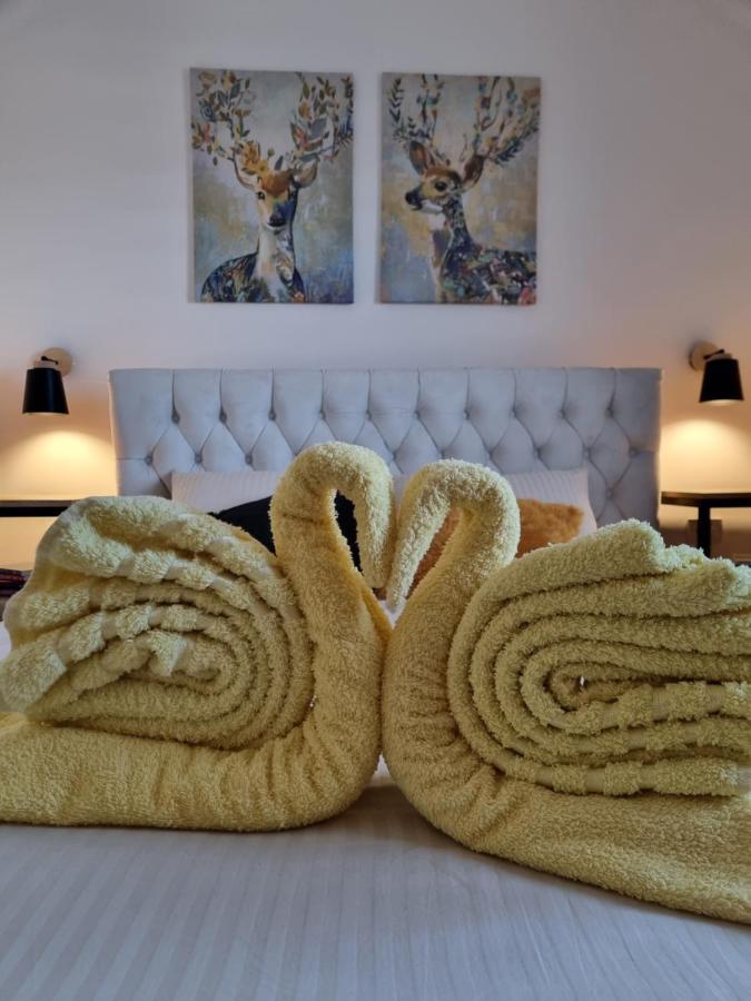 Zlatar Holidays Apartmani Nova Varoš المظهر الخارجي الصورة