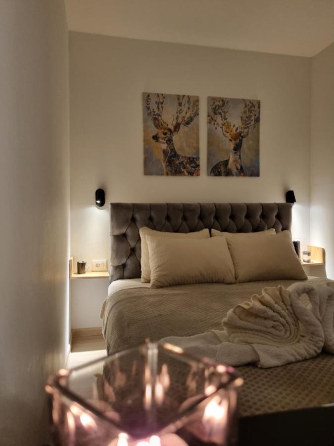 Zlatar Holidays Apartmani Nova Varoš المظهر الخارجي الصورة