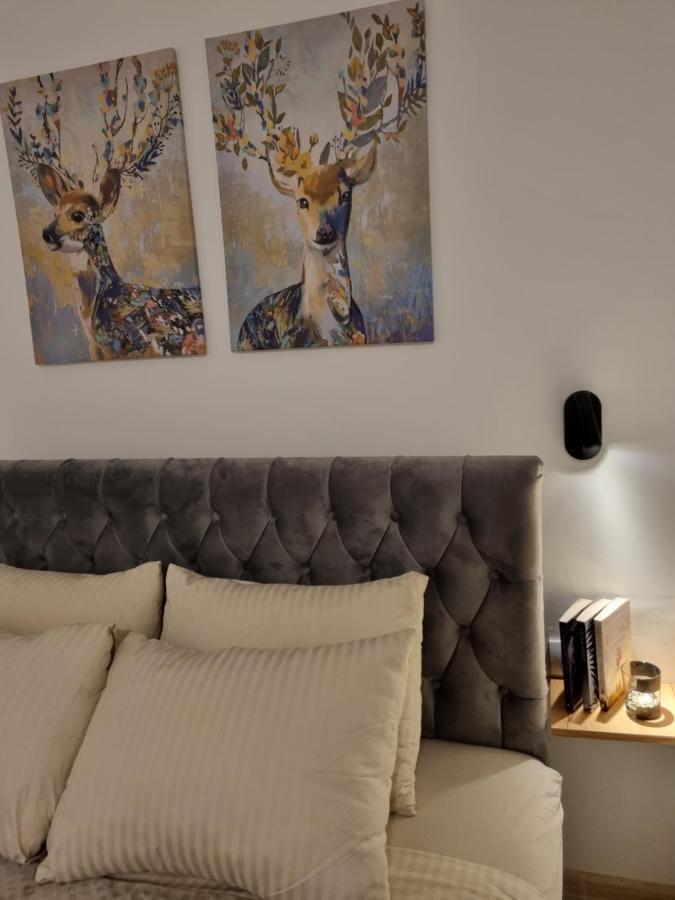 Zlatar Holidays Apartmani Nova Varoš المظهر الخارجي الصورة