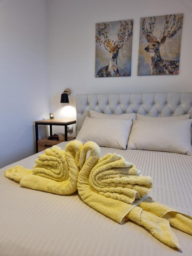 Zlatar Holidays Apartmani Nova Varoš المظهر الخارجي الصورة